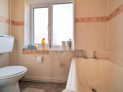 Picture 13